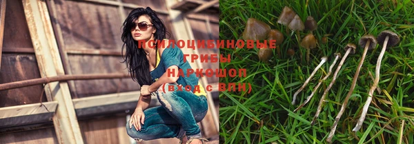 мдма Белокуриха