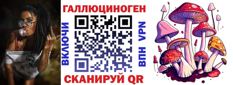 Псилоцибиновые грибы Psilocybine cubensis  Борзя 