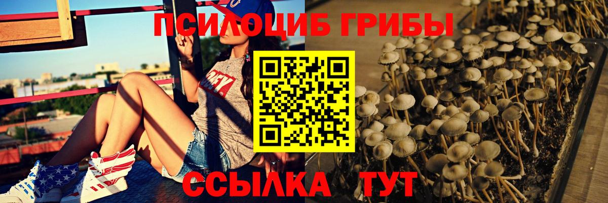 Галлюциногенные грибы ЛСД  Псилоцибиновые грибы Psilocybine cubensis  Вход с VPN  Борзя 