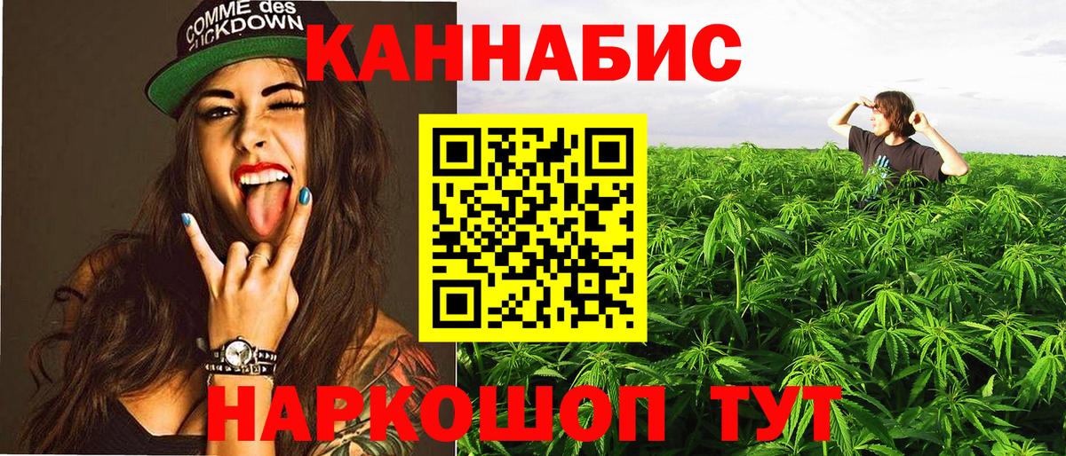 Бошки марихуана конопля Борзя